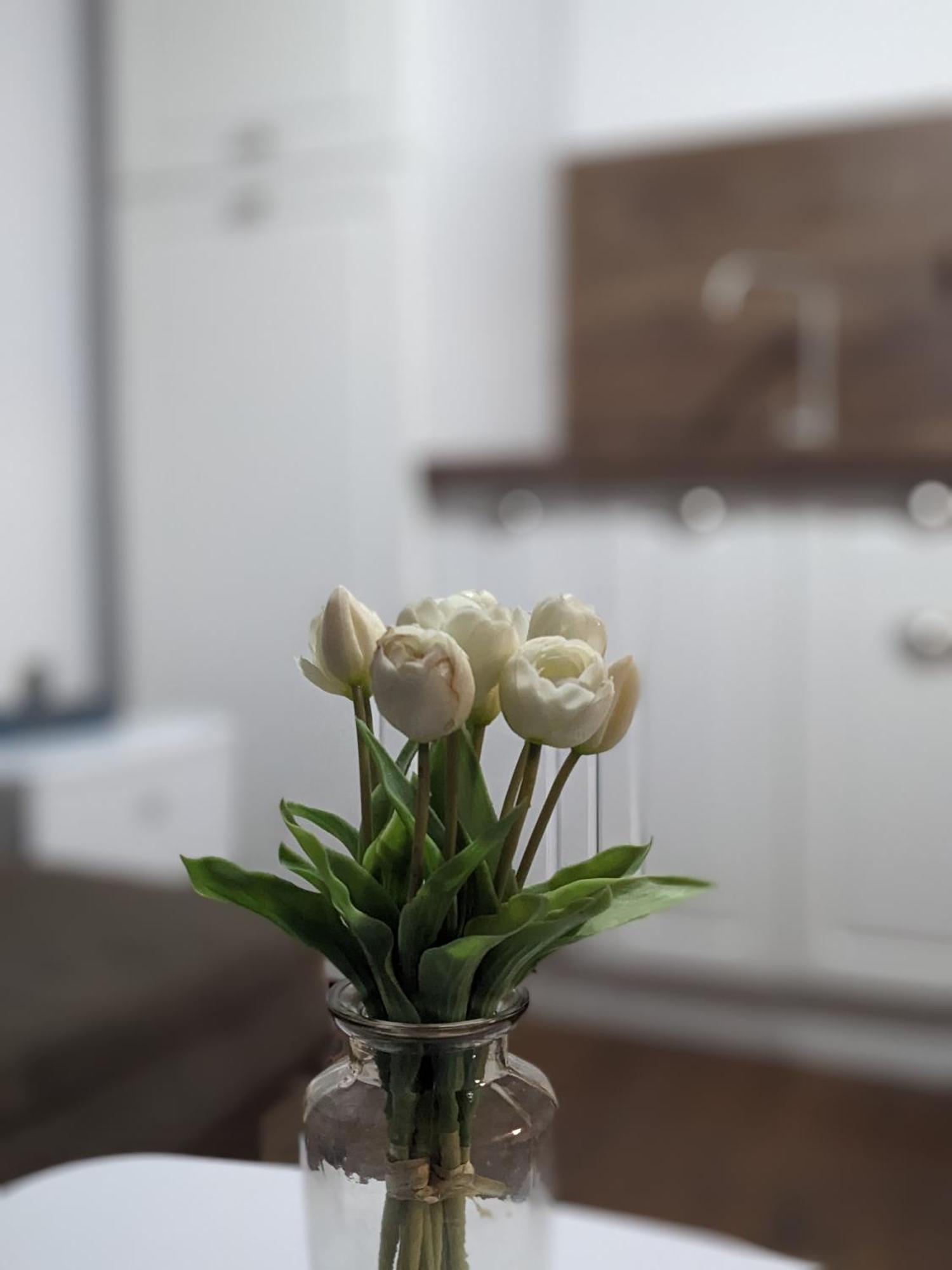 Honey I'M Home Apartments Weliko Tarnowo Exterior foto